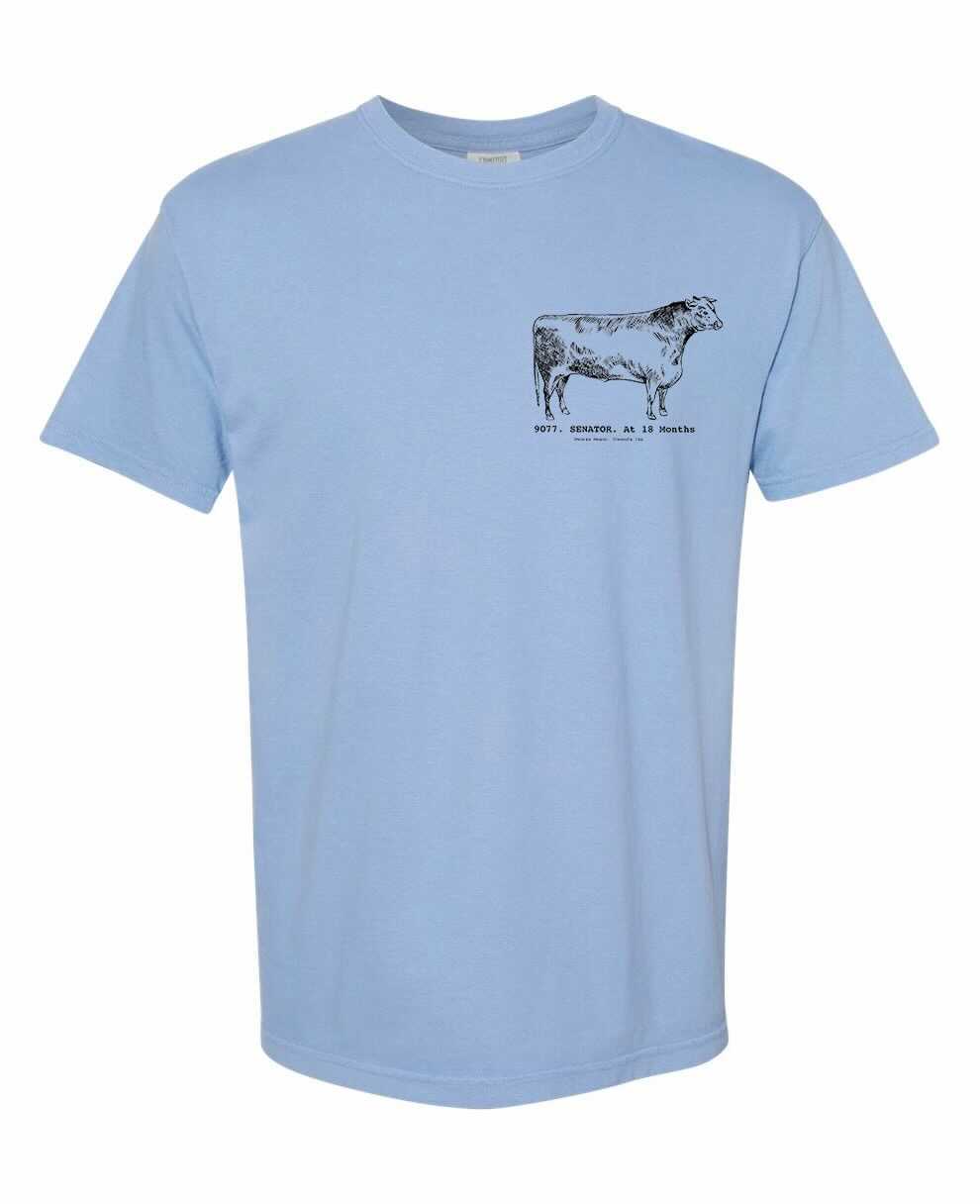 SENATOR | Short Sleeve T-Shirt | Blue