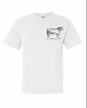 SENATOR | Short Sleeve T-Shirt | Ivory